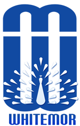 WHITEMOR - blue peacock logo design